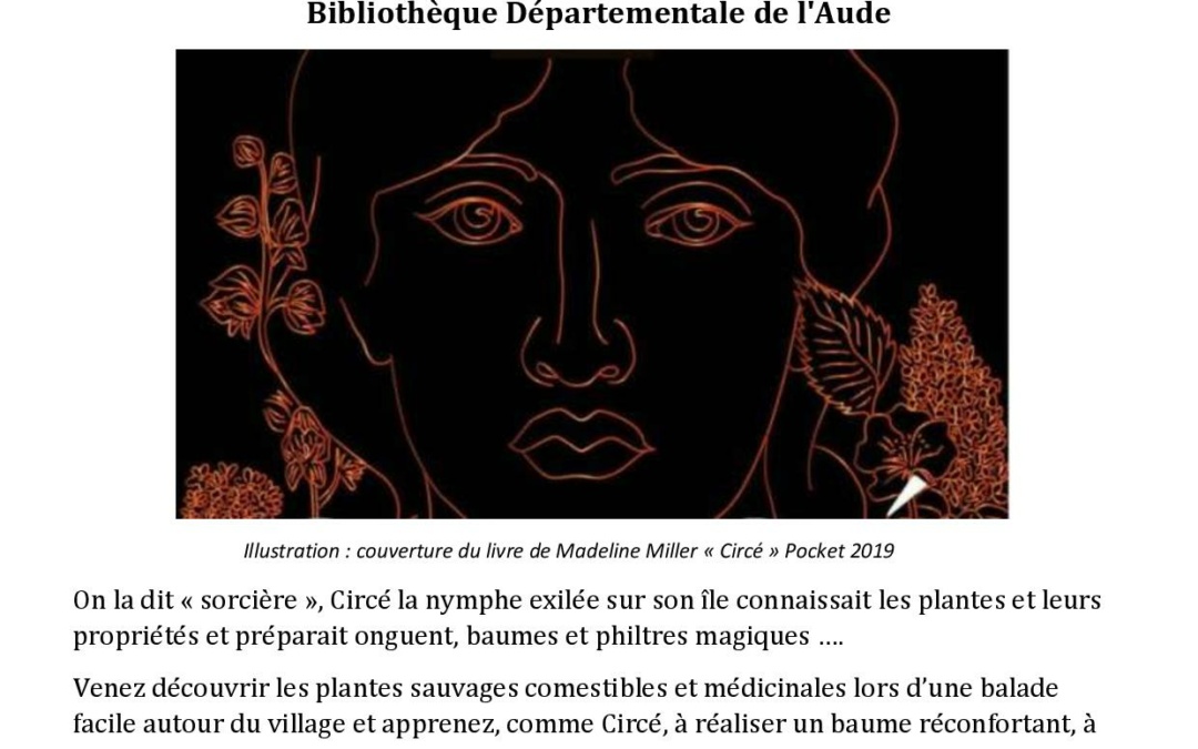 balade plante sauvage