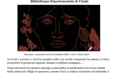 balade plante sauvage